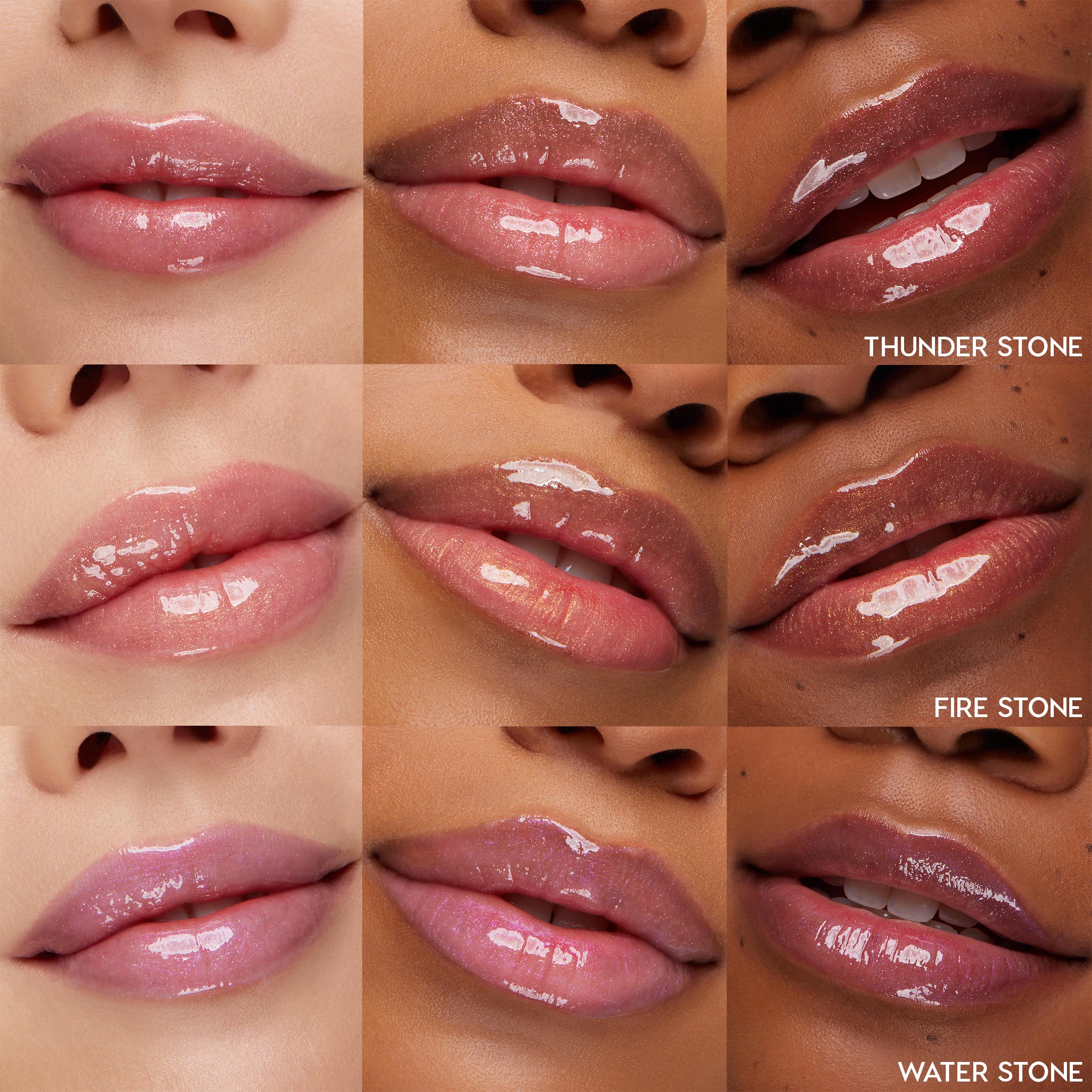 Evolution - Image 3