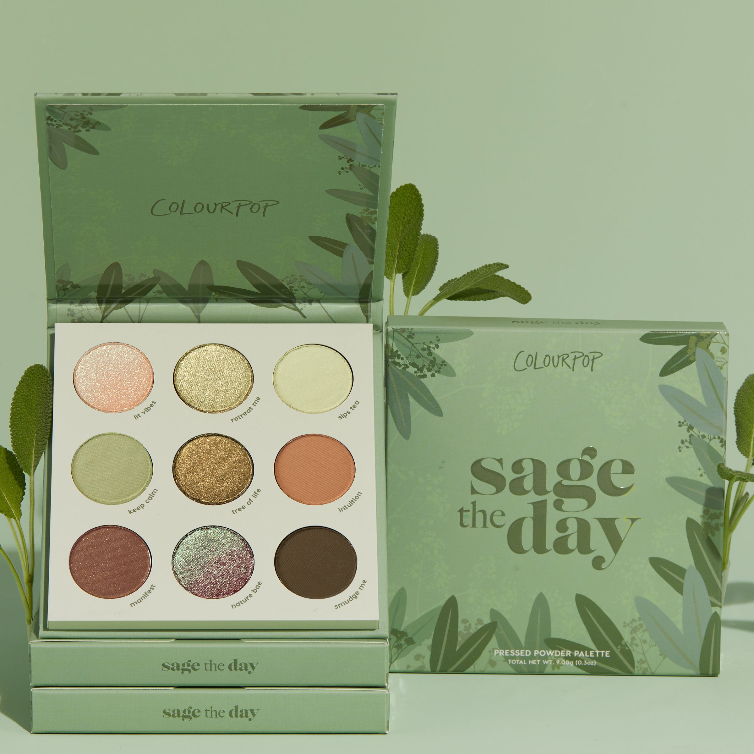 Sage The Day - Image 4
